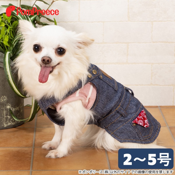【SALEでお得※在庫限りお早めに】ジャンパースカート【2〜5号】