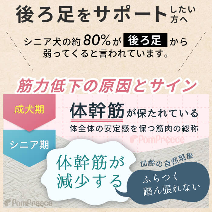 介護用3wayケアーハーネスアイテム一覧