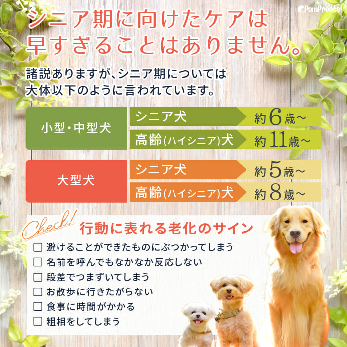 シニア犬とケアの時期