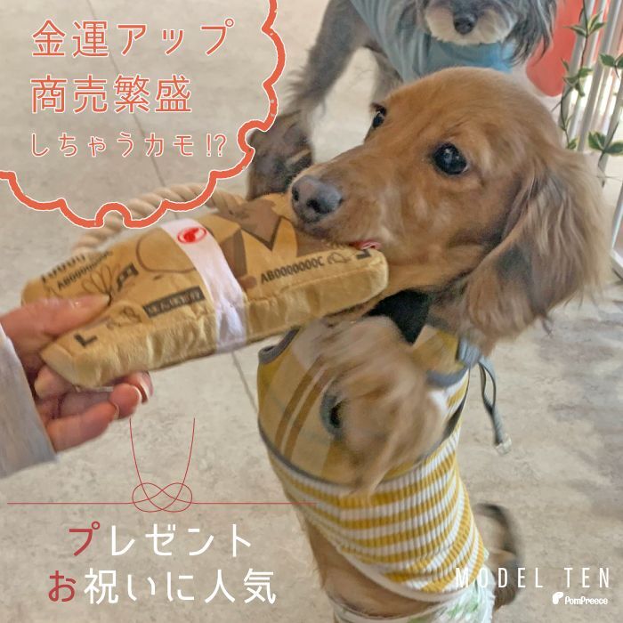ポイント10倍＆13時までの注文で即発送】デンタルロープTOY 札束|【お陰様で創業40周年】ペット用品専門メーカー ポンポリース オンラインショップ