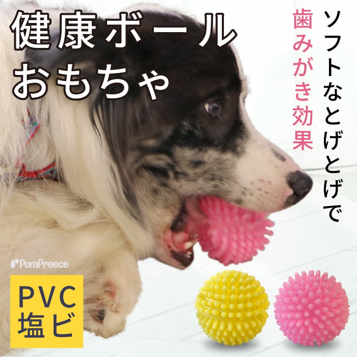 画像1: 【ポイント10倍で会員様はお得】 PVC　健康ボール (1)