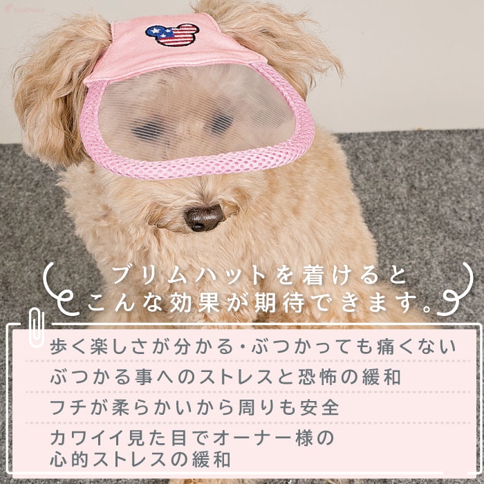 ポイン10倍で超お得 会員様限定 ペット用 アイ フェイスガード 犬 猫 老犬 高齢犬 介護用品 目の不自由 白内障 視覚障害 盲目 緑内障 アイ フェイスガード ビッグブリムハット S Ll ペット用品専門メーカー ポンポリース オンラインショップ ポイン10倍で超お得 会員様限定 ペット用 アイ フェイスガード 犬 猫 老犬 高齢犬 介護用品 目の不自由 白内障 視覚障害 盲目 緑内障 アイ フェイスガード ビッグブリムハット S Ll ペット用品専門メーカー ポンポリース オンラインショップ