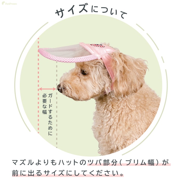 ポイン10倍で超お得 会員様限定 ペット用 アイ フェイスガード 犬 猫 老犬 高齢犬 介護用品 目の不自由 白内障 視覚障害 盲目 緑内障 アイ フェイスガード ビッグブリムハット S Ll ペット用品専門メーカー ポンポリース オンラインショップ ポイン10倍で超お得 会員様限定 ペット用 アイ フェイスガード 犬 猫 老犬 高齢犬 介護用品 目の不自由 白内障 視覚障害 盲目 緑内障 アイ フェイスガード ビッグブリムハット S Ll ペット用品専門メーカー ポンポリース オンラインショップ