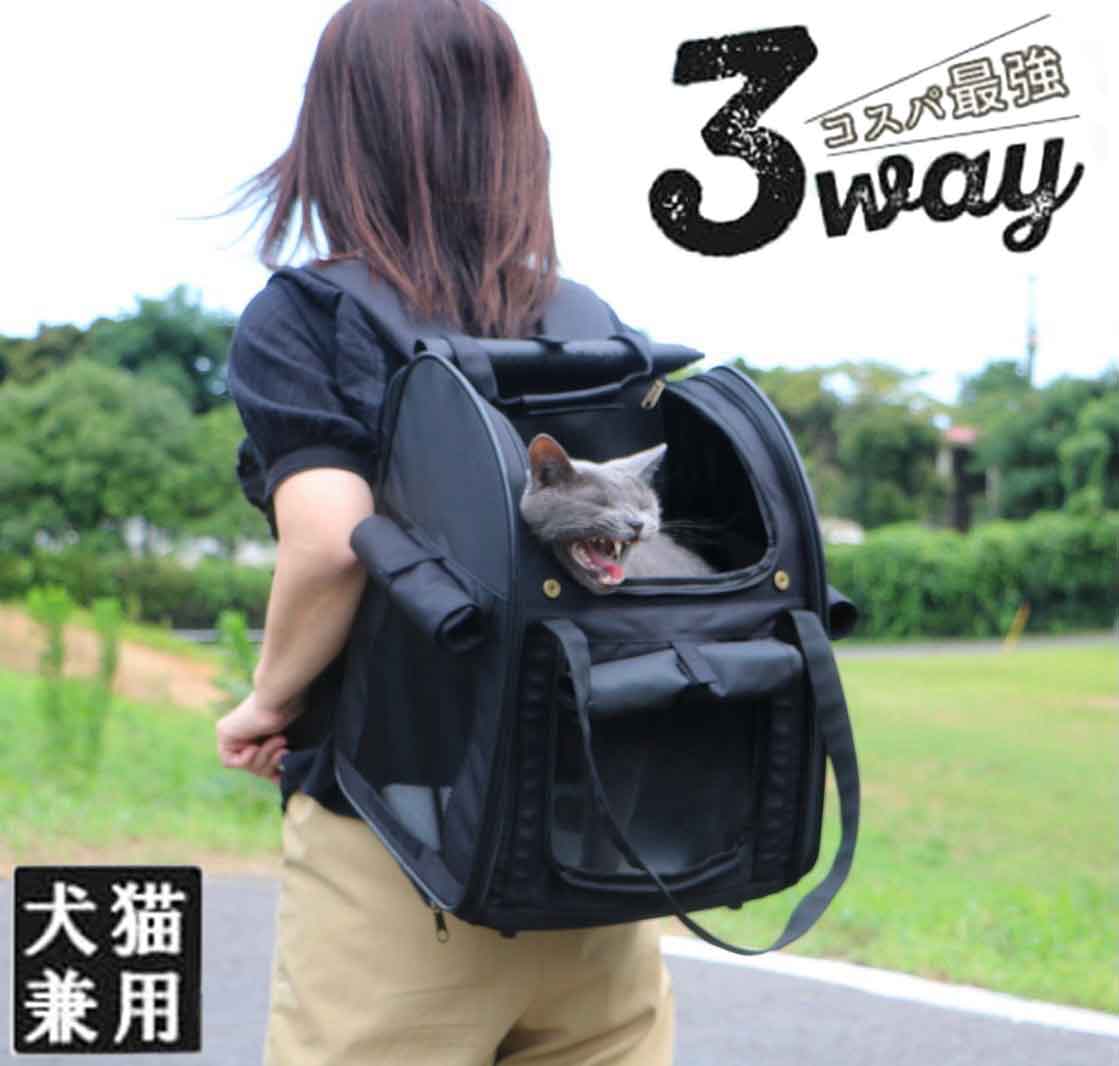 タッチインリュック