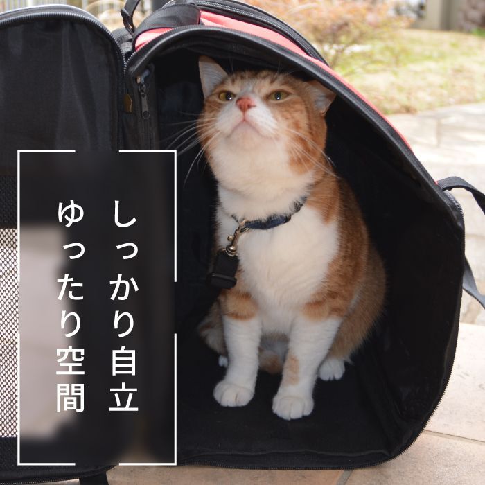 【新品】ペット用リュック  犬 猫 ゆったり 大きめ ミニポーチとペットマット付