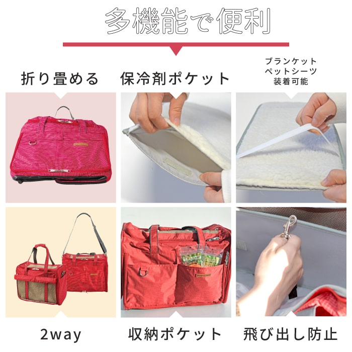 ポイント10倍で超お得!!会員様限定&ペットフードのプレゼント付き