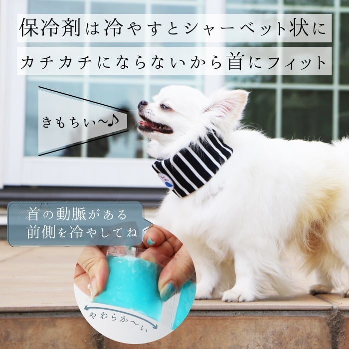 ＼ポイント2倍割引クーポン／ エリザベスカラー 犬 用 犬用 ソフト 軽量 中型犬 中型犬用 柔らか クッション 透明 布 ボタン ウレタン ドーナツ 人気 お試し 予備 2枚セット ペット 介護 選べるカラー