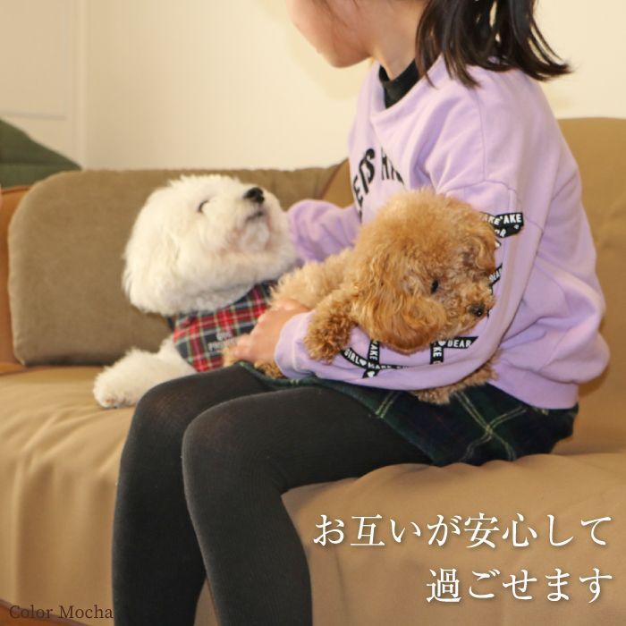 ポイント10倍で超お得 会員様限定 繰り返し洗って使えるペットシーツ 制菌エコシートマットプレミア2 Ll 日本製 ペット用品専門メーカー ポンポリース オンラインショップ ポイント10倍で超お得 会員様限定 繰り返し洗って使えるペットシーツ 制菌エコシートマットプレミア2 Ll 日本製 ペット用品専門メーカー ポンポリース オンラインショップ