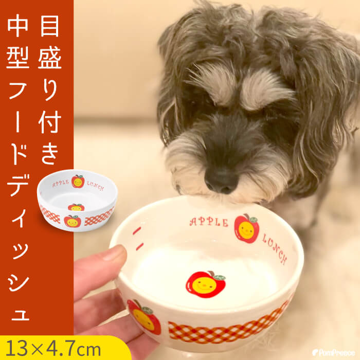 【セール価格にてご提供】 中型フードディッシュアップルランチ