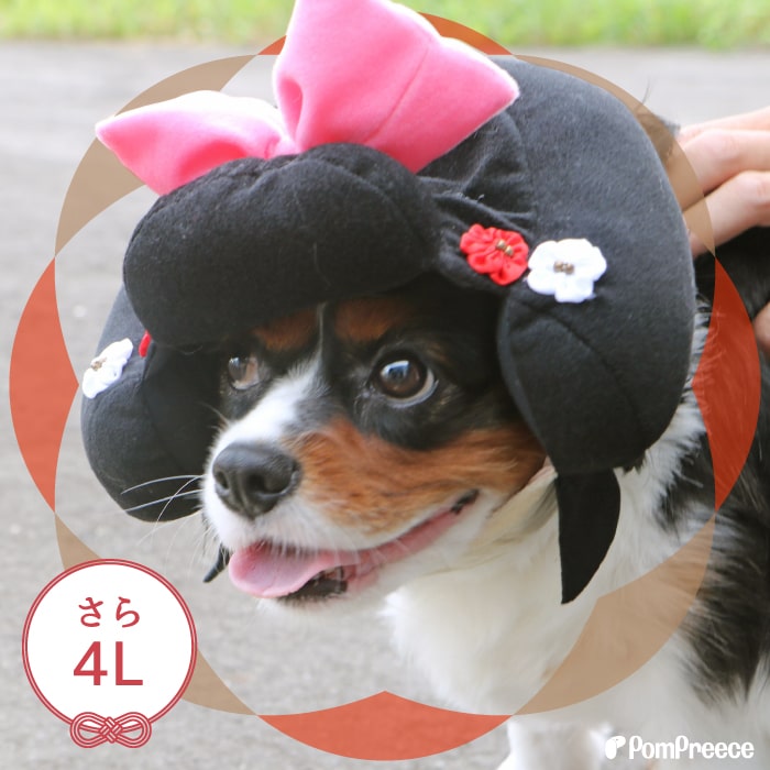 ポイント10倍で会員様はお得 Sale 変身カツラ トノ ヒメ Sとllのみ 返品交換不可 お陰様で創業40周年 ペット用品専門メーカー ポンポリース オンラインショップ